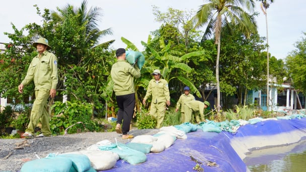 TP.HCM tăng cường nguồn lực phòng ngừa và ứng phó thiên tai
