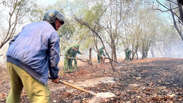 Cháy khoảng 50ha rừng phòng hộ ở Ninh Châu