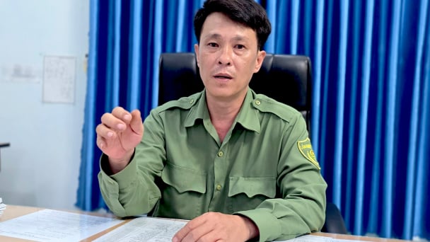 Chuyển rừng phòng hộ sang rừng sản xuất: Phát triển bền vững sinh kế cộng đồng