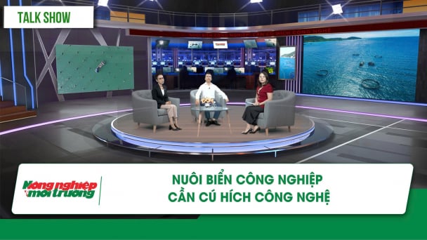 Nuôi biển công nghiệp: Cần cú hích công nghệ