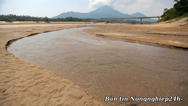 El Niño hình thành rõ nét, gia tăng nguy cơ hạn hán và xâm nhập mặn