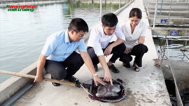 Nuôi trồng thủy sản công nghệ cao thích ứng khí hậu, hướng tới xuất khẩu