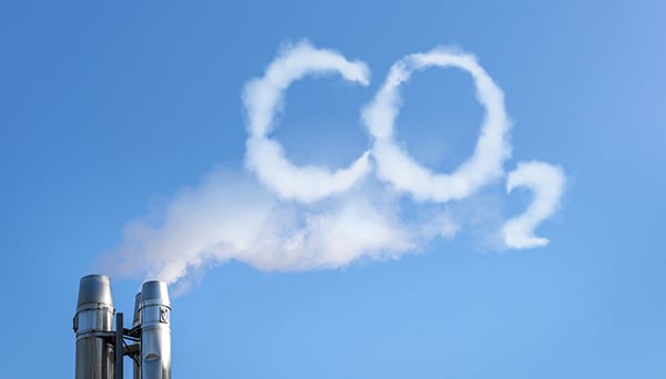 Chính thức vận hành sàn giao dịch carbon: [Bài 3] Quy trình của một giao dịch