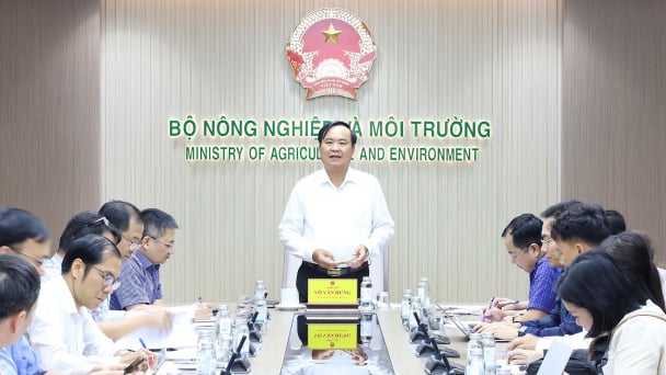 Ứng phó rào cản thương mại xuất khẩu cá rô phi sang Brazil