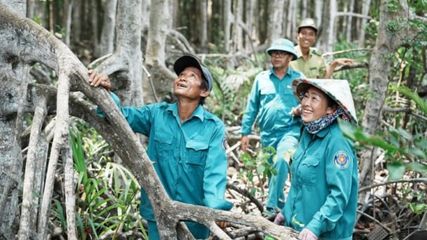 Ban Quản lý Rừng phòng hộ, đặc dụng TP.HCM tuyển 70 viên chức
