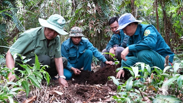 Khuyến nông Cà Mau tăng cường phòng chống cháy 650ha rừng mùa khô