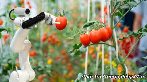 Công bố kế hoạch đổi mới sáng tạo ngành Nông nghiệp và Môi trường