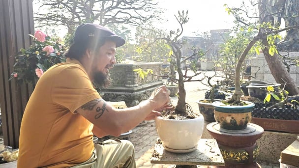 Công nhận làng nghề Mai cảnh Yên Tử - Tây Sơn