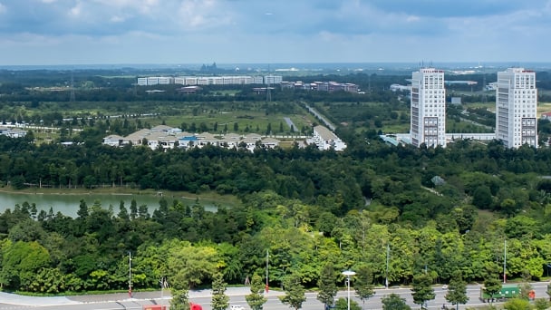 TP.HCM thành lập Ban Chỉ đạo thực hiện hoàn thành cơ sở dữ liệu đất đai