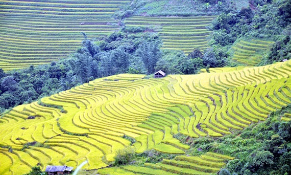Ngất ngây với vẻ đẹp Y Tý