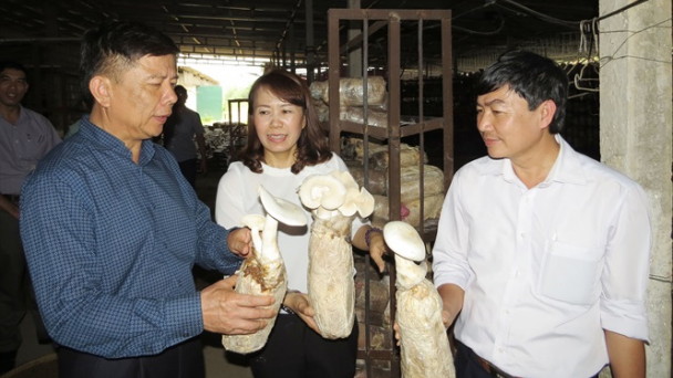 Nấm sạch Tuấn Linh khẳng định chất lượng