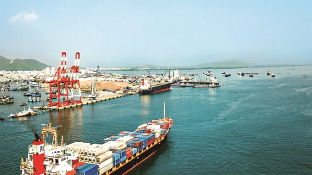 Kỷ luật Phó tổng giám đốc Cty Cổ phần Cảng Quy Nhơn