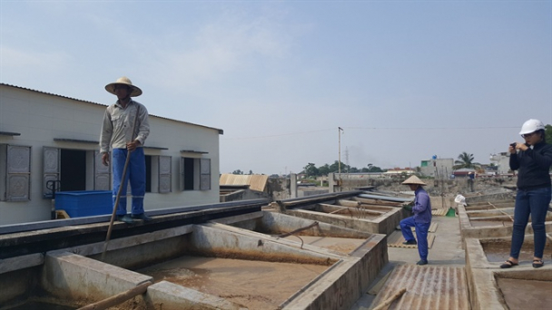 Làng nghề nước mắm nức tiếng đất Cảng: [Bài 1] Cầu kỳ nghề làm nước mắm