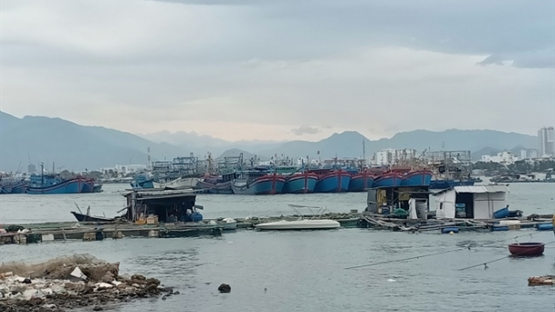 Tháo dỡ lồng bè tại vùng nước cảng cá Hòn Rớ và cầu Bình Tân