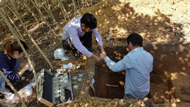 Tình đất, tình người ở Viện Thổ nhưỡng Nông hóa