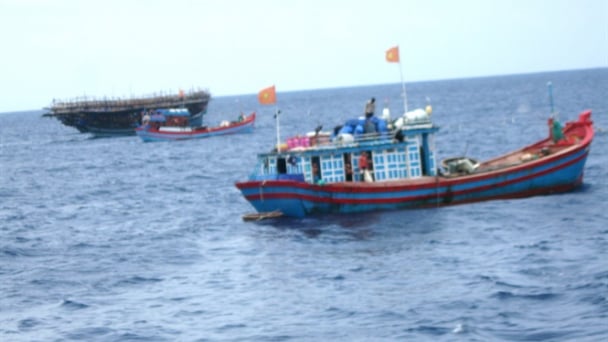 Nhiều tàu cá và ngư dân Bình Định đang gặp nạn trên biển