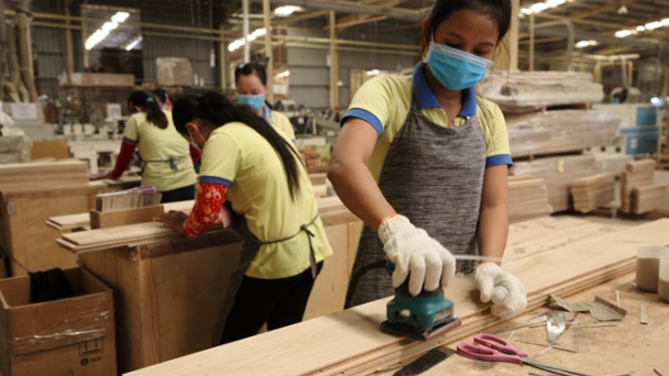 Xuất khẩu lâm sản 10 tháng năm 2019 đạt trên 9 tỷ USD