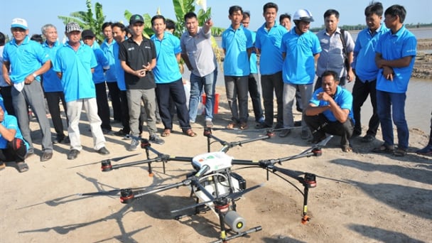 Máy bay không người lái phun thuốc BVTV cho lúa