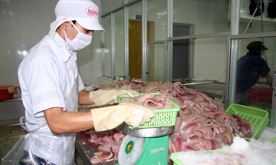 Hệ thống kiểm tra cá tra của Việt Nam tương đương với Mỹ