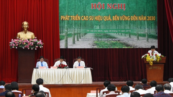 Sẽ trình Bộ Chính trị, Ban Bí thư chính sách mới cho ngành cao su