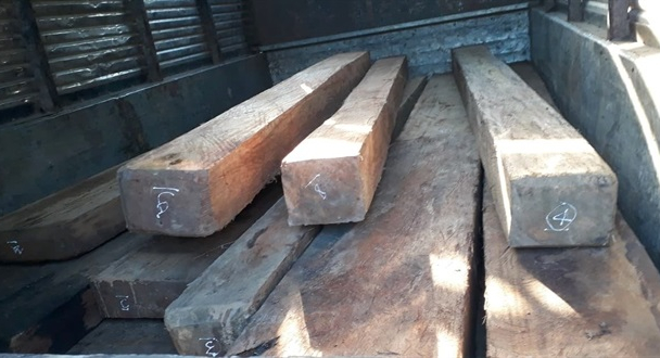 Khởi tố 2 lâm tặc chống người thi hành công vụ