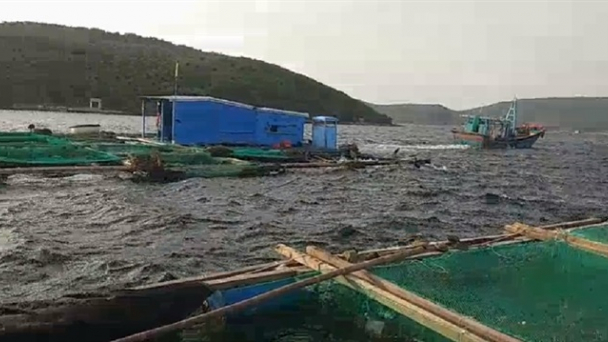 Khẩn trương ứng cứu 2 ngư dân bị mắc kẹt trên bè