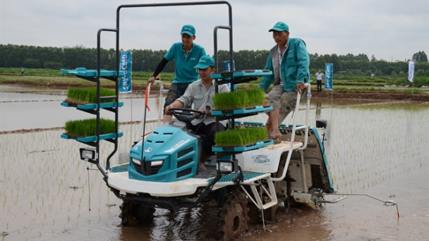 Hà Nội bàn cách giải phóng lưng cho nông dân mỗi vụ cấy