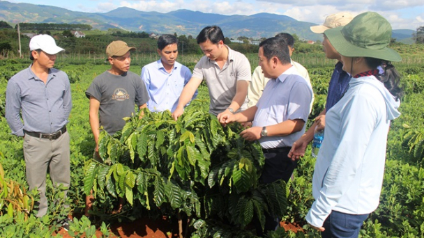 Hoạt động khuyến nông làm thay đổi nhận thức của người sản xuất