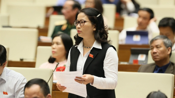 Góp ý dự thảo Luật phòng, chống thiên tai và Luật Đê điều sửa đổi