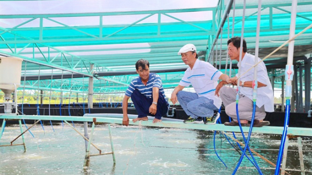 Bạc Liêu hướng tới thủ phủ tôm công nghệ cao