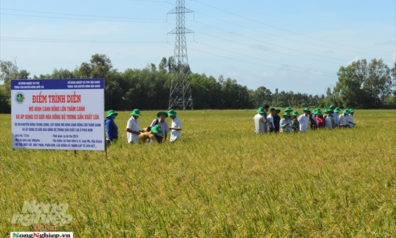 Hậu Giang: Tăng thêm 60% lợi nhuận khi cơ giới hóa đồng bộ sản xuất lúa