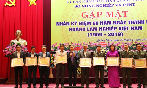 Quảng Ninh đứng đầu cả nước về tỷ lệ che phủ rừng