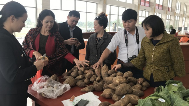 Gắn kết để tiêu thụ nông sản an toàn