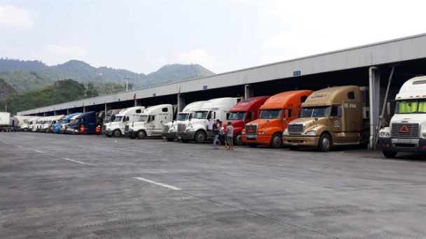 Nghịch lý trái cây xuất sang Trung Quốc