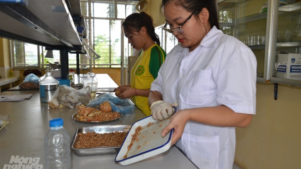 Con em nông dân đang học hành như thế nào? - [Bài I] Nhận thức méo mó về tự chủ đại học