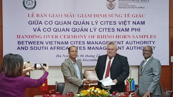 CITES Việt Nam bàn giao 55 mẫu vật sừng tê giác cho Nam Phi