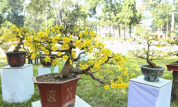 Hội Hoa Xuân thành phố Hồ Chí Minh kéo dài 12 ngày