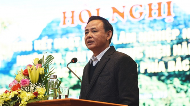 Hàng loạt giải pháp để phát triển ngành lâm nghiệp phía Bắc năm 2020