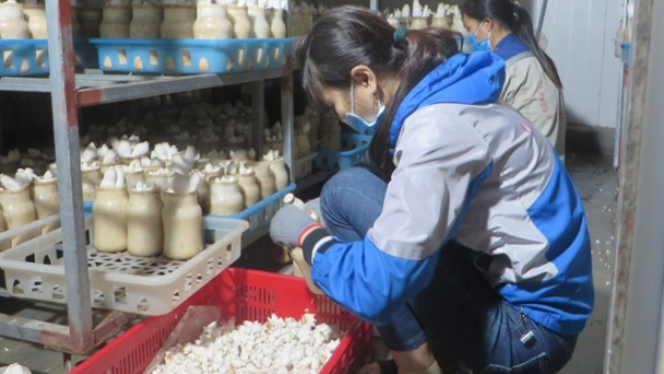 Chấp nhận mạo hiểm để thành công