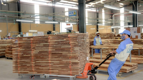 Tuyên Quang: Nhiều chính sách phát triển rừng hiệu quả