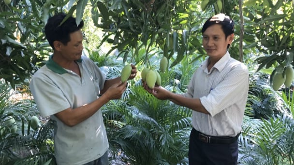 Nông sản rõ 'lai lịch' rộng đường xuất khẩu