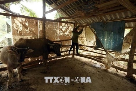 Hà Giang: Chống đói rét đi cùng với phòng chống dịch bệnh