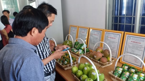 Khánh Hòa: Chứng nhận 3 sản phẩm an toàn theo VietGAP