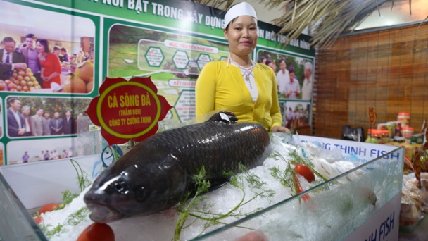 Đưa sản phẩm OCOP lên sàn thương mại điện tử