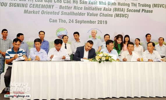 Hợp tác sản xuất lúa gạo chất lượng cao để xuất khẩu