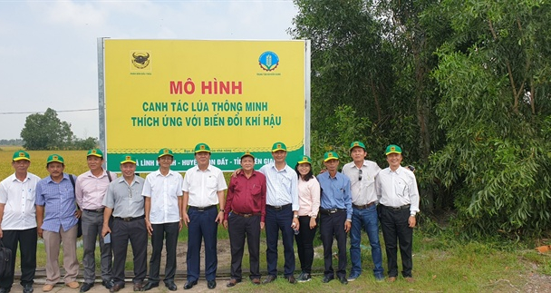 Canh tác lúa thông minh