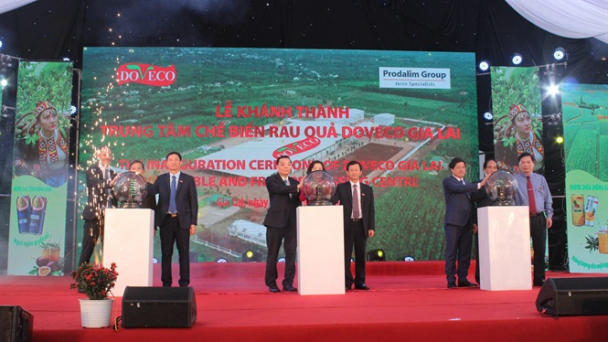 DOVECO Gia Lai: Mũi nhọn ngành rau quả Tây Nguyên