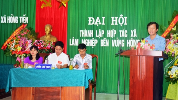 Thành lập HTX Lâm nghiệp bền vững đầu tiên ở Hương Trà