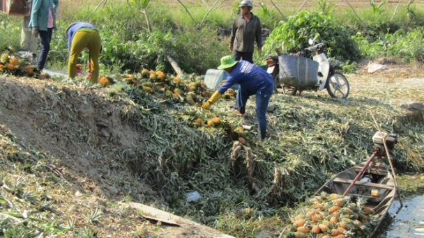 Khóm Tân Phước rộn ràng đón tết