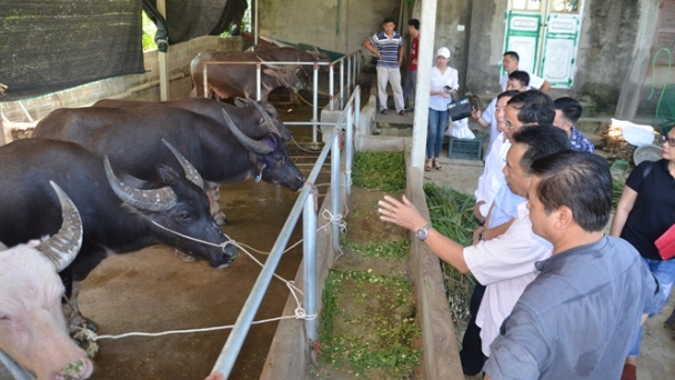 Giàu từ 'đầu cơ nghiệp'